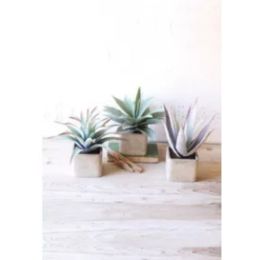 Set Of Three Large Artificial Succulents In Square Pots