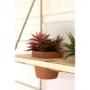 Two-Tiered Hanging Wooden Shelves With Clay Pots