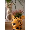Set Of Three Ceramic Safari Animal Succulent Holders