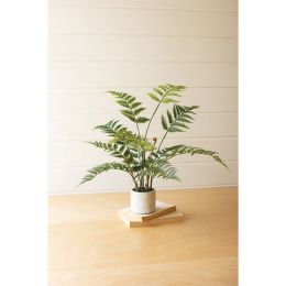 Artificial Fern In A Cement Pot