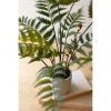 Artificial Fern In A Cement Pot