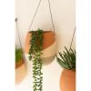 Set Of Three Clay Wall Pocket Planters With Wire Hangers