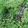 Country Fern Artificial Vertical Garden 40" x 40"