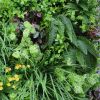 Country Fern Artificial Vertical Garden 40" x 40"