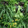 Country Fern Artificial Vertical Garden 40" x 40"