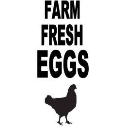 Farm Fresh Eggs (With Chicken)