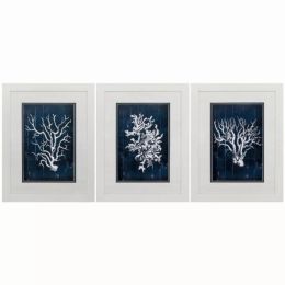 21" X 27" White Frame Woodecoral Blue (Set of 3)