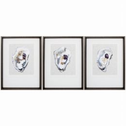 18" X 24" Brushed Silver Frame Oyster Shell Study (Set of 3)