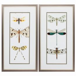 13" X 25" Metallic Bronze Frame Entomology Series (Set of 2)