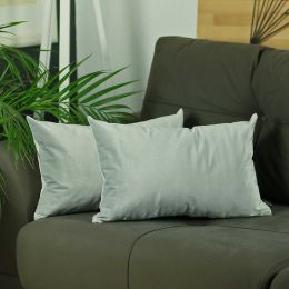 21" x14" Light Grey Velvet decorative Throw Pillow Cover (2 Pieces in set)