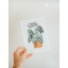Monstera Life