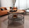 2-Tier Single Panel Round Coffee Table for Living Room and Bedroom, with 3D Texture Metal Frame and Mesh