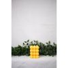 Maxi Bubble Candle Collection