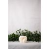 Derriere Candle Collection