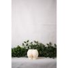 Derriere Candle Collection
