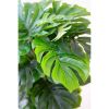 Artificial Monstera Plant In A Plastic Pot