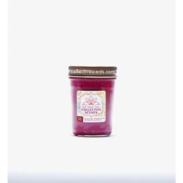 Cherry Soy Candle (Color: Cherry, Country of Manufacture: United States)