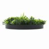 Artificial Green Wall Disc
