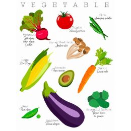 Vegetable Poster (Country of Manufacture: United States, Material: Paper)