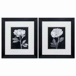 16" X 18" Black Frame Black White Flowers (Set of 2) (Color: Black, Country of Manufacture: United States, Material: Glass)