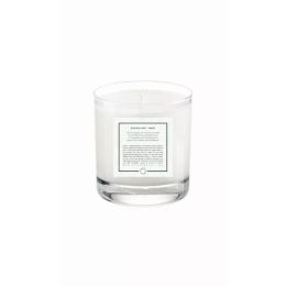 11 oz. Soy Candle (Color: Mint, Country of Manufacture: United States, Material: Metal)