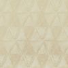 Plutus Velvet With Foil Printing Luxury Throw Pillow