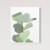 Figleaf