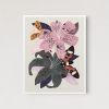 Lily Flowers
