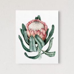 Prothea Flower (Color: White, Country of Manufacture: United States, Material: Paper)