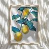 Lemon Branch